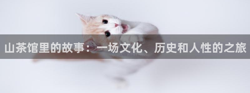 龙八国际黑不黑