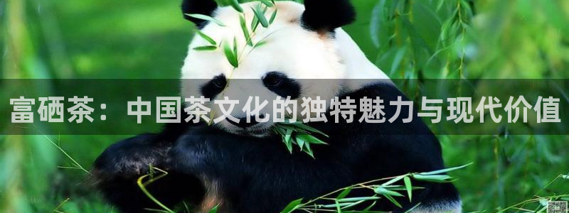 龙八国际网店客服电话