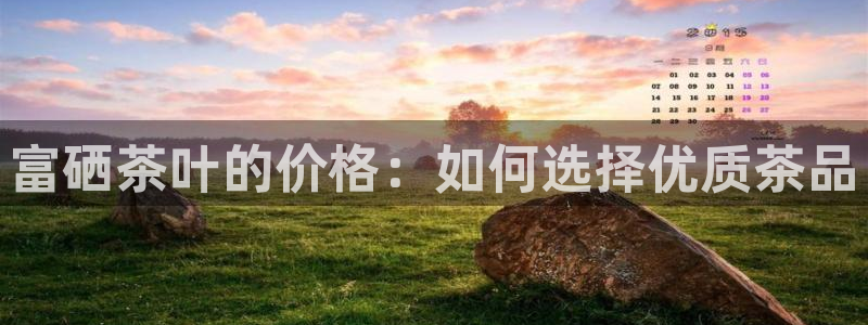 龙八国际网址视讯平台