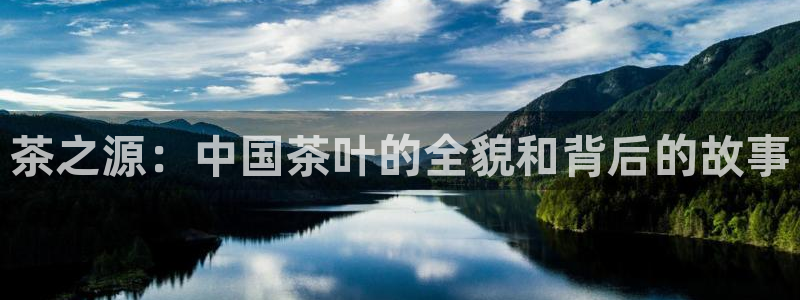 龙八国际app客户端下载苹果