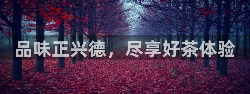 龙八国际app下载手机客户端