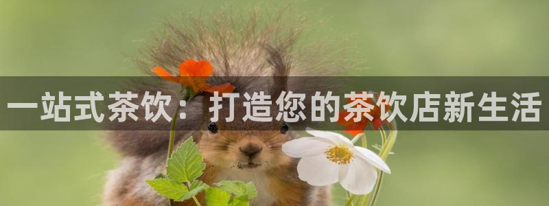 龙八国际娱乐二维码