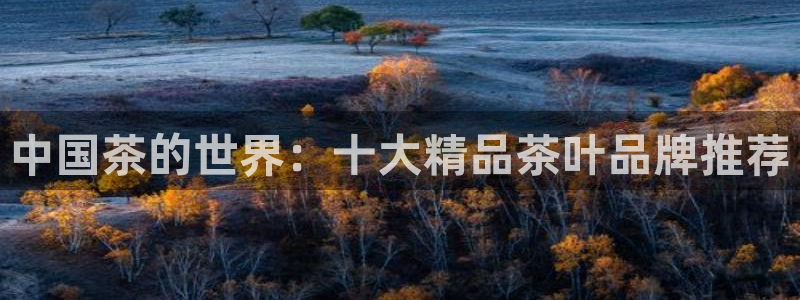 龙八国际电子游戏