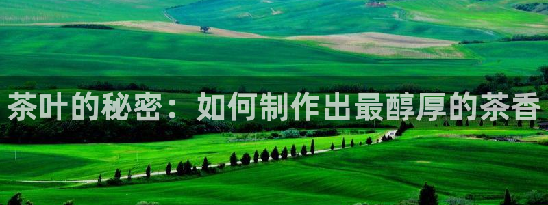 龙八国际娯乐城