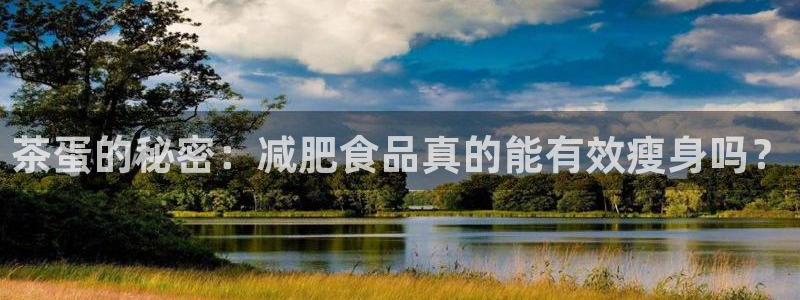 龙八国际Pt老虎机