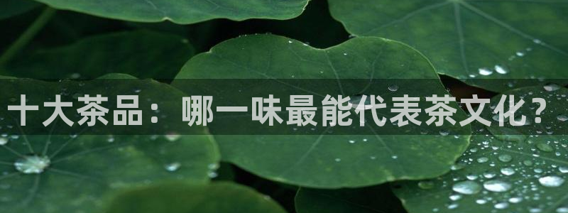 龙八国际版游戏