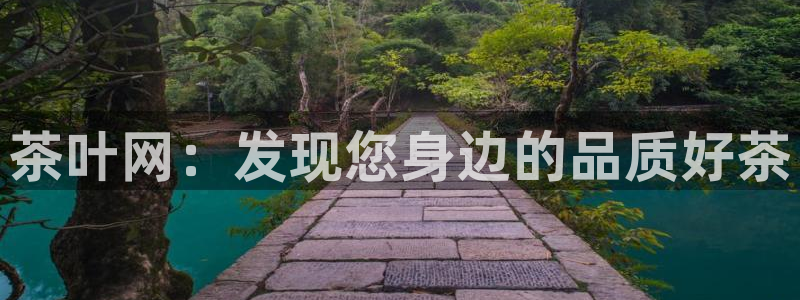 龙八国际娱乐pt老虎机