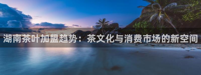 龙八国际网页登陆