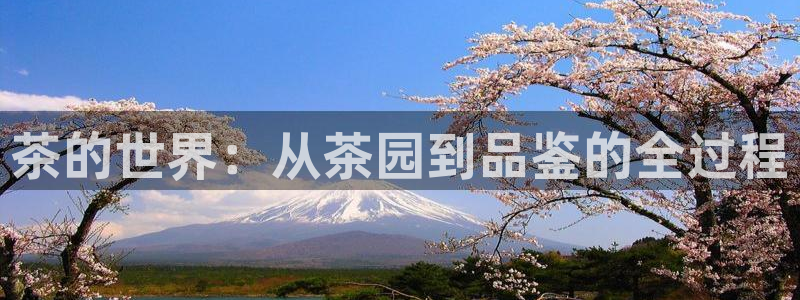 龙八国际网站全网