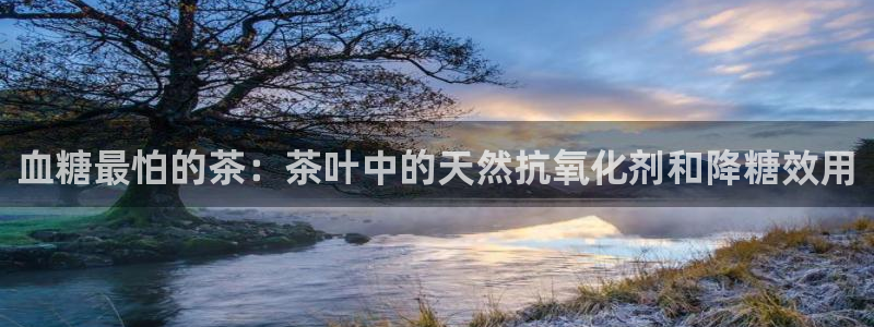 龙八国际pt客户端