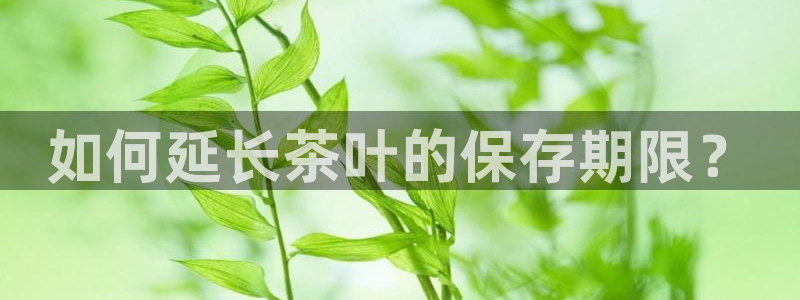 龙八国际app下载手机客户端