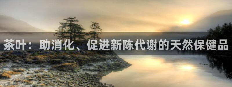 龙八国际b48点tv