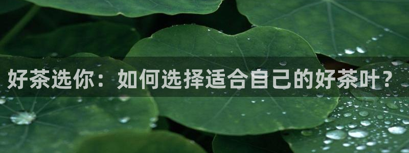 龙八国际视频入口