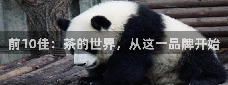 龙八国际安全吗