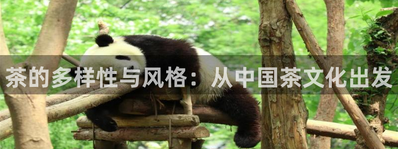 龙八国际 long5658.com