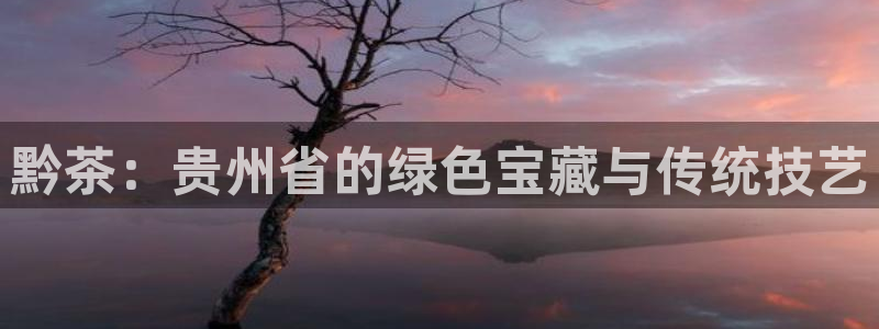 龙八国际app安卓