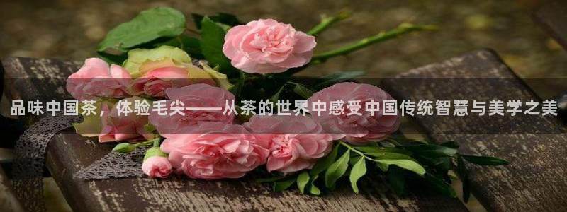 龙八国际网店客服电话