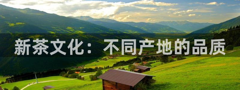 龙八国际app客户端下载安卓