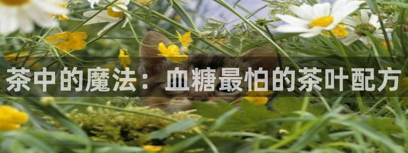 怎么举报龙八国际