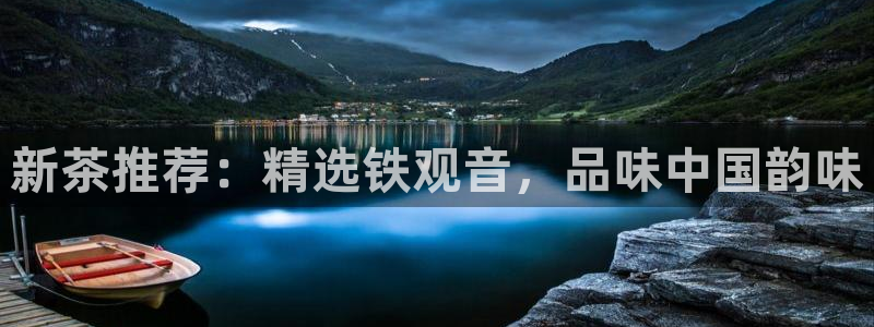 龙八国际平台手机版