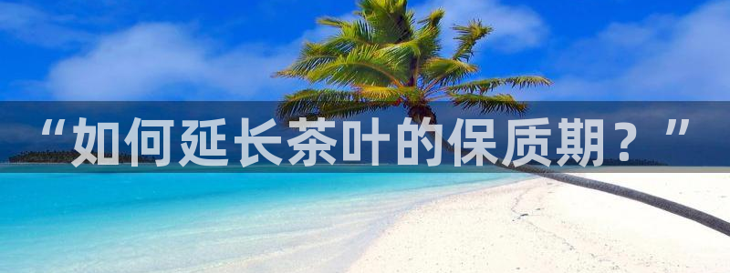 龙八国际登录网