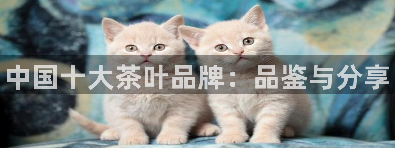 龙八国际登录密码