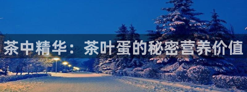 龙八国际app客户端下载不了