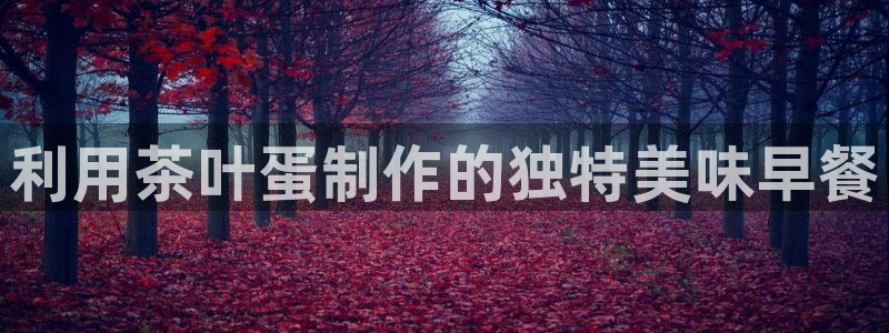 龙八国际不可思议的气球