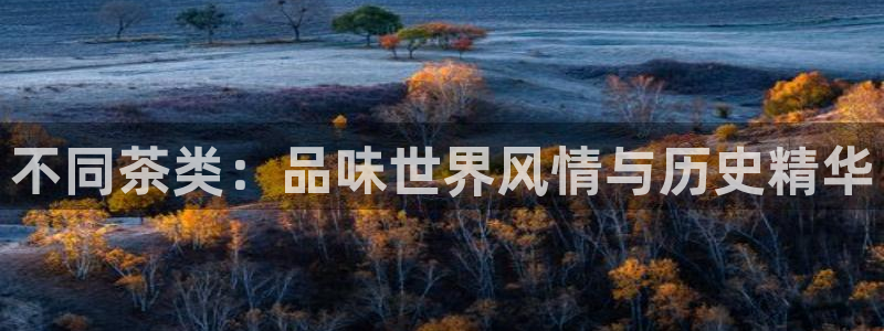 龙八国际服官网下载安装