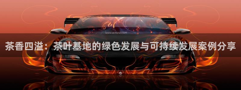 龙八国际可b48点tv