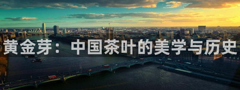 龙八国际app电话号码