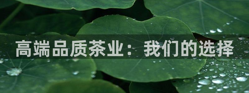 龙八国际官网网站