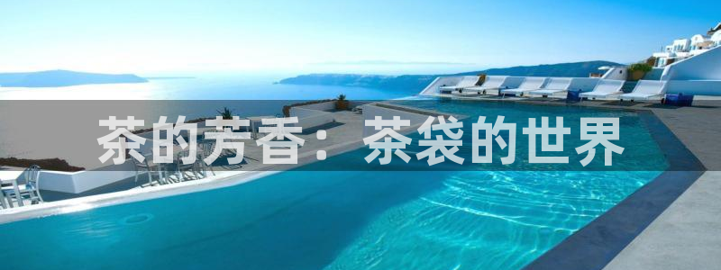 龙八国际手机客户端