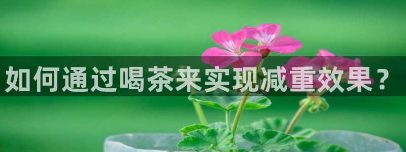 龙八国际娱乐官网app