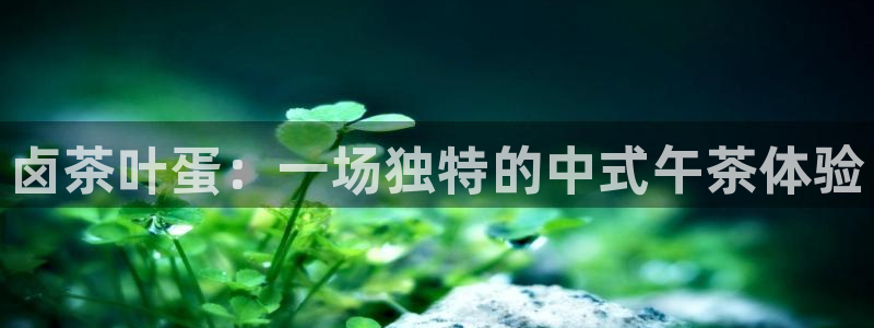 龙八国际登录网站