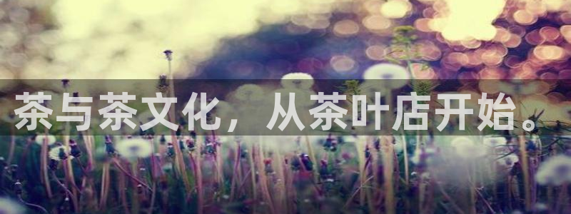 龙八国际头号玩家下截