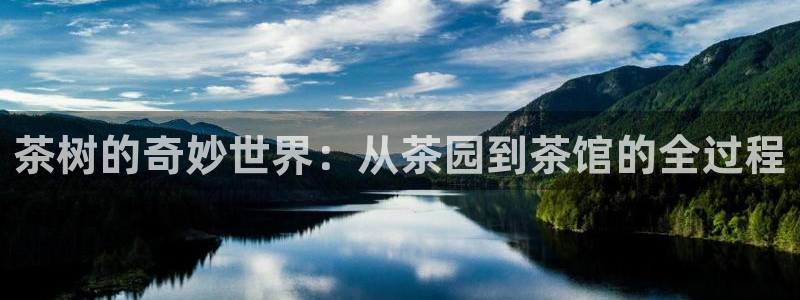 龙八国际城网站