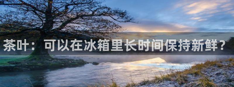 龙八国际app怎么下载