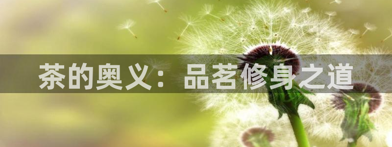 龙八国际手机登录首页