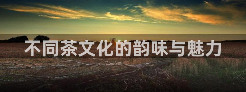 龙八国际娱手机