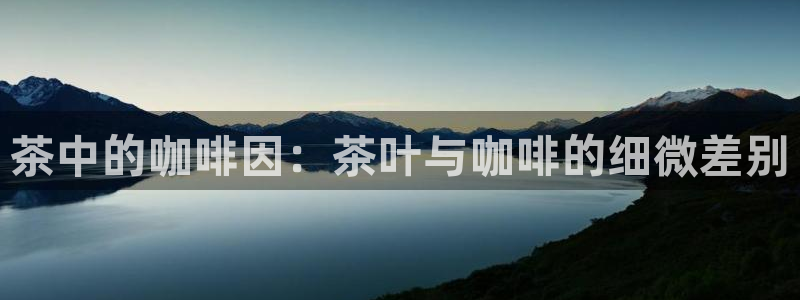 龙八国际娱乐二维码