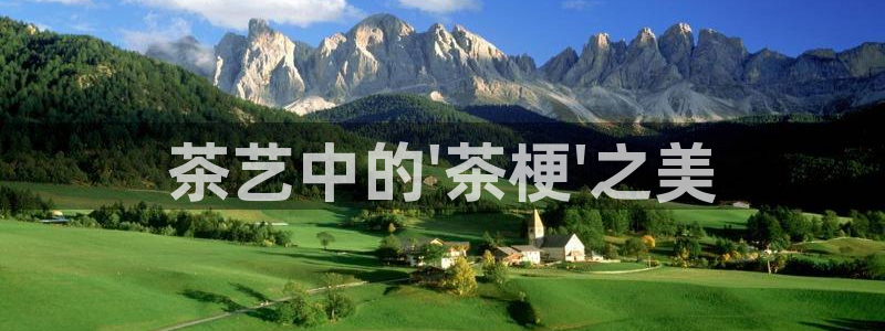 龙八国际老虎机