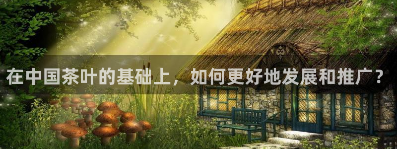 龙八国际电子游戏