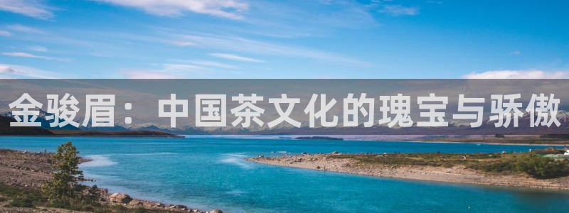 龙八国际黑不黑