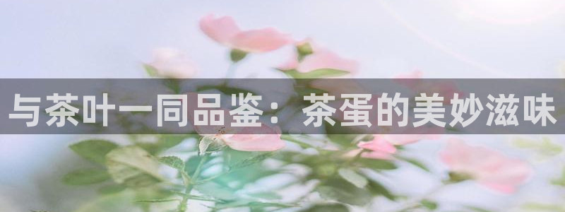 龙八国际官网产品介绍