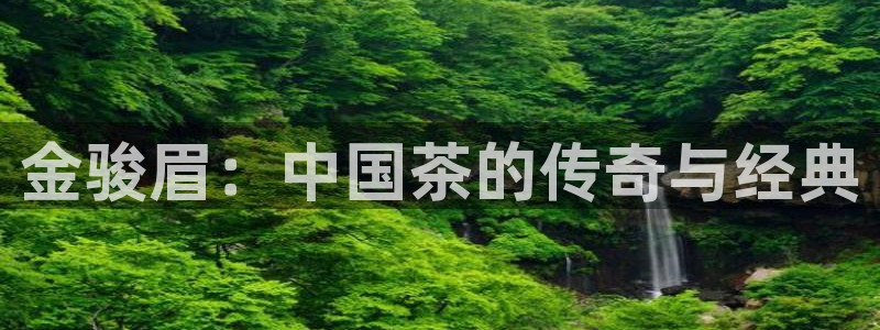 龙八国际娱乐官网注册