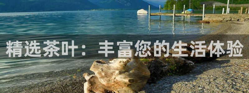 龙八国际下载链接安卓