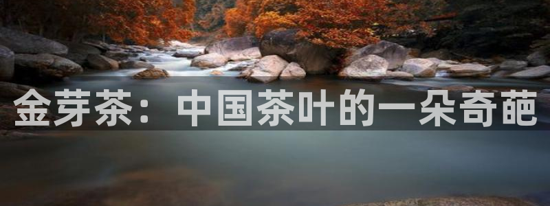 龙八国际官网首页网页版