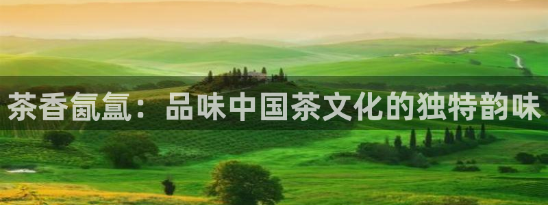 龙八国际官方登录