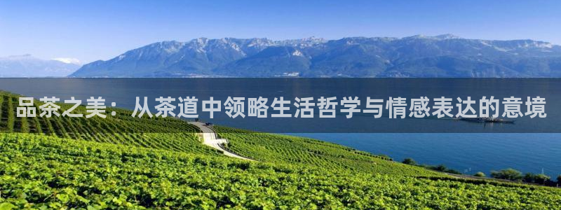 龙八国际官网进入